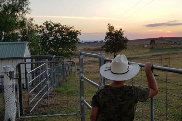 Australian Farm Nights