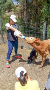 bottle feed baby farm animals